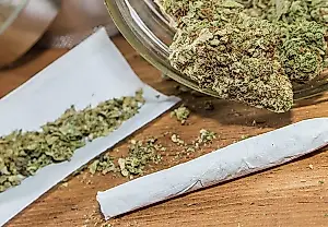 Estudio: el consumo de cannabis en personas mayores no se asocia con demencia ni pérdida de memoria