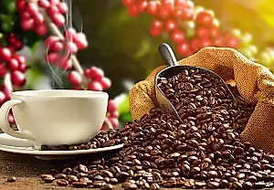 Los beneficios del café para personas con trastornos mentales: sus células rejuvenecen más rápido