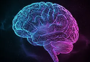 Short-video viewing temporarily shuts down cognitive control networks, study finds