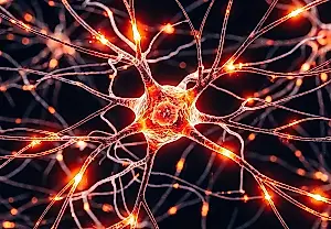 Experimentos con flúor: daños cerebrales en ratones