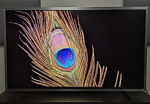 Samsung S99H: OLED insignia con sorpresa