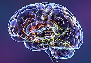 La reacción cerebral al miedo predice la hospitalización por depresión y trastorno bipolar