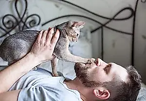 5 razones por las que un gato te pone la pata en la cara