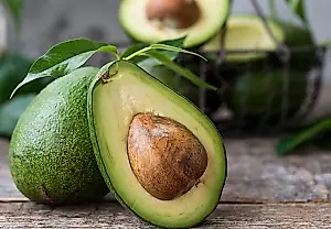 Aguacate y cerebro: efecto nulo
