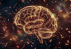 Los científicos descubren que el café influye en el microbioma intestinal y el cerebro