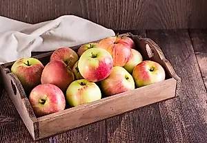 Cómo conservar las manzanas hasta la primavera: consejos del jardinero Andréi Tumanov