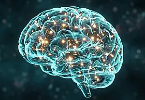 El cerebro infantil clasifica los rostros