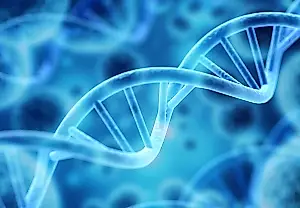 Los genes no escriben el carácter por sí solos