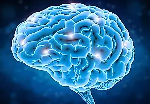 La ciencia se revisa a sí misma
