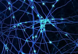 Los científicos descubren cómo el cerebro se protege de la proteína tau tóxica