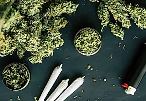 Cannabis y primer episodio psicótico: nuevos riesgos