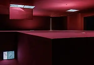 La Renaissance Society recibe el premio Ellsworth Kelly para una exposición de Pan Daijing