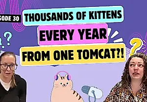 Victoria para los gatos: Estados Unidos prohíbe vender animales en las tiendas