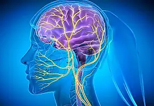 Estimulación del nervio auricular y depresión: un efecto inesperado