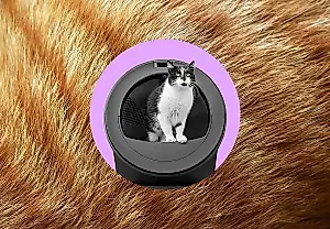 El arenero del futuro: la IA felina se vuelve loca