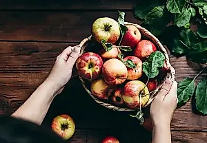 Un sótano sin manzanas podridas