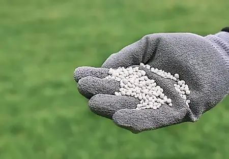 Fósforo contra el invierno: cómo abonar las plantas antes de las heladas