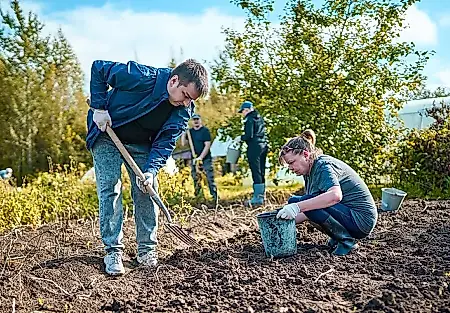 El huerto en octubre: qué cosechar, qué plantar y cómo no echar a perder la cosecha