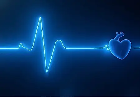 El pulso de las ideas: cómo se relaciona el estado del cuerpo con la creatividad