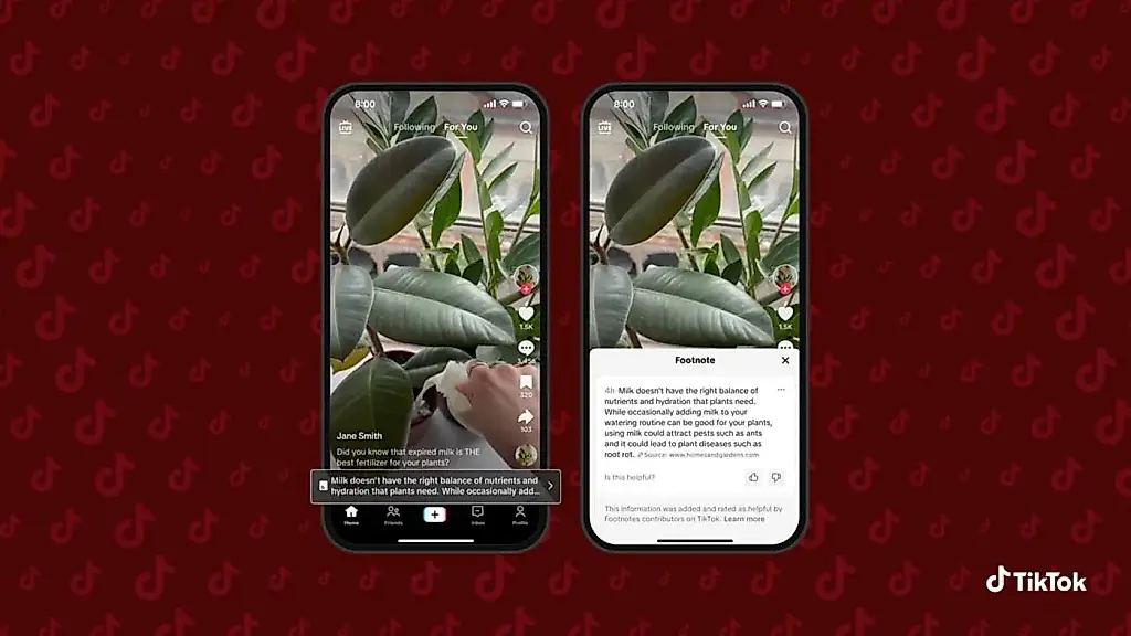 TikTok запускает «Футноты» — свой ответ на проверку фактов