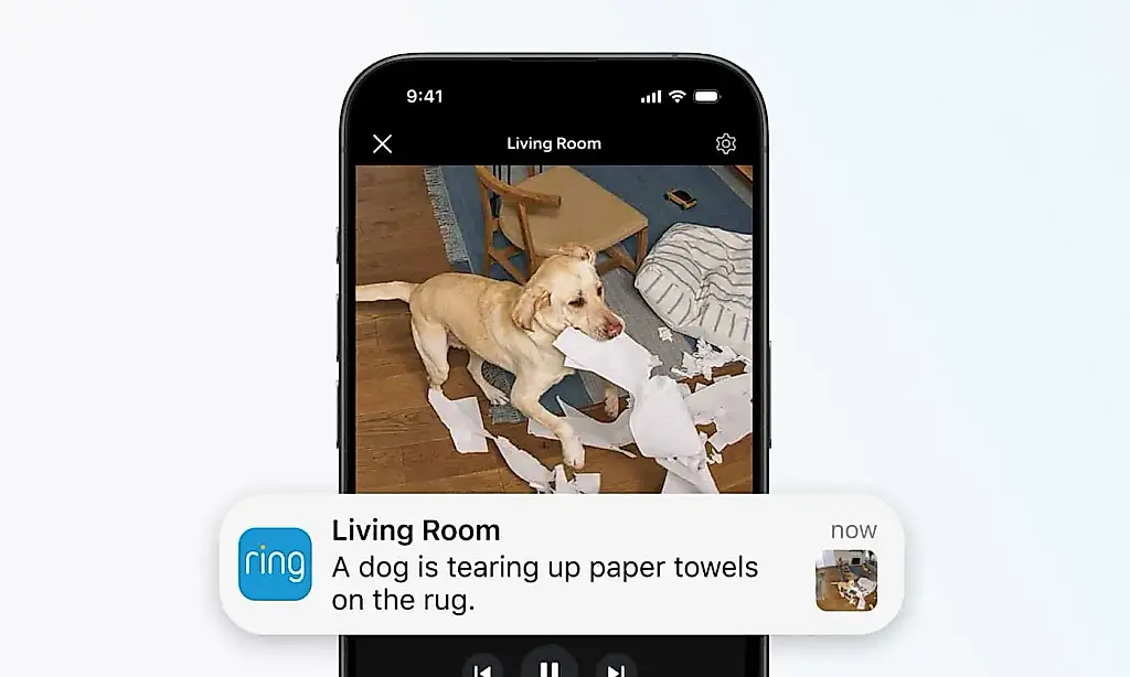 Новая фишка от Ring: ИИ слишком умный, чтобы спасать нас от собачников и современного бабского детектива!