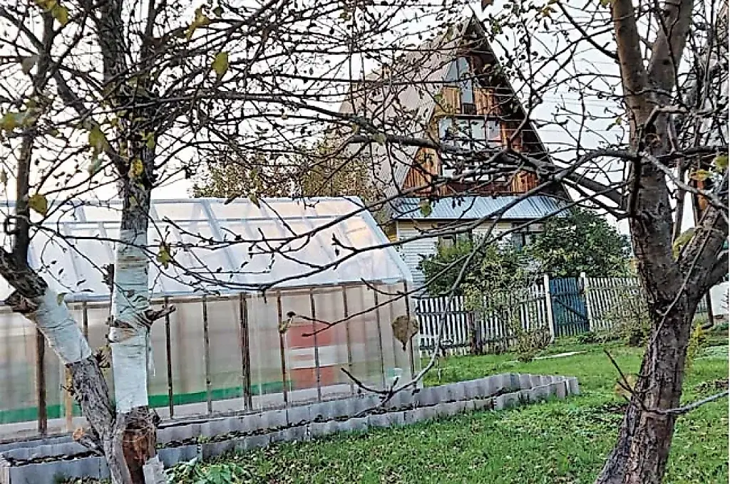 Осень, дача, паника: что делать до морозов?