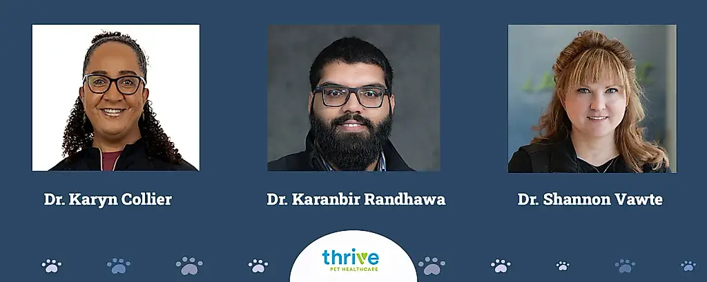 Thrive Pet Care: Супергерои среди домашних питомцев