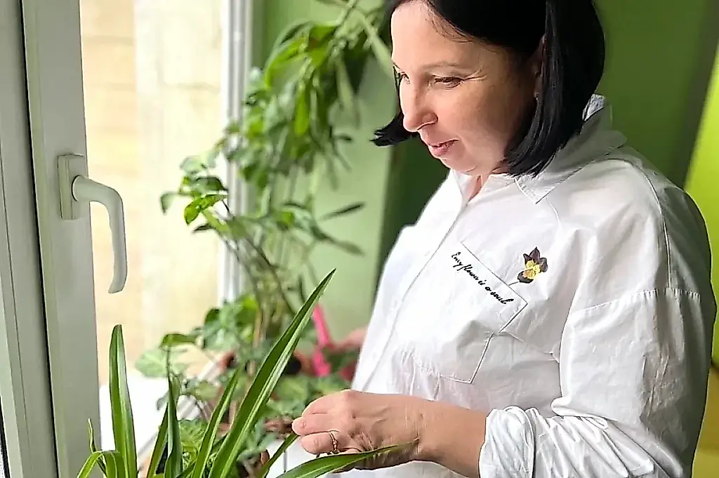 ¡Chile, qué chill! Qué plantones puedes cultivar en la ventana en invierno