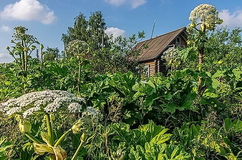 Штрафная весна