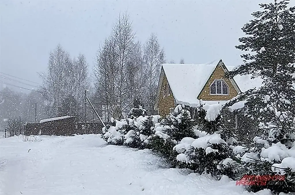 Адрес как пропуск