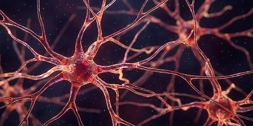 Cuando el cerebro se rinde