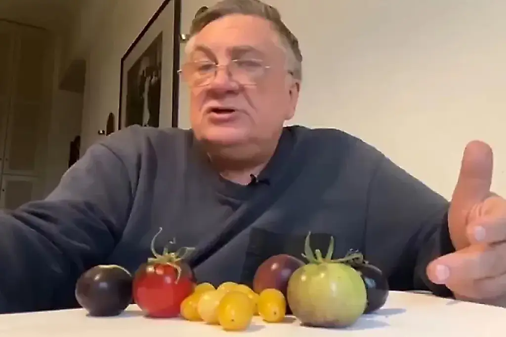 Tomates contra el mildiu