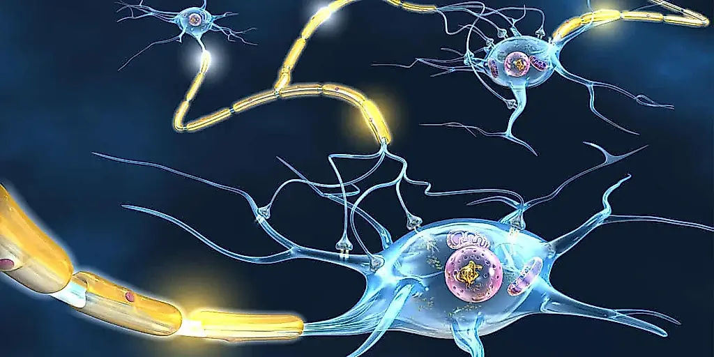 El cerebro y lo dulce: reacciones extrañas