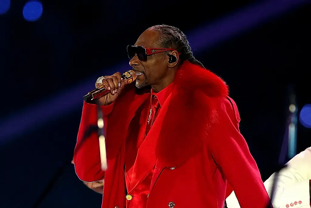 Snoop Dogg и Netflix устроили новогодний цирк на NFL