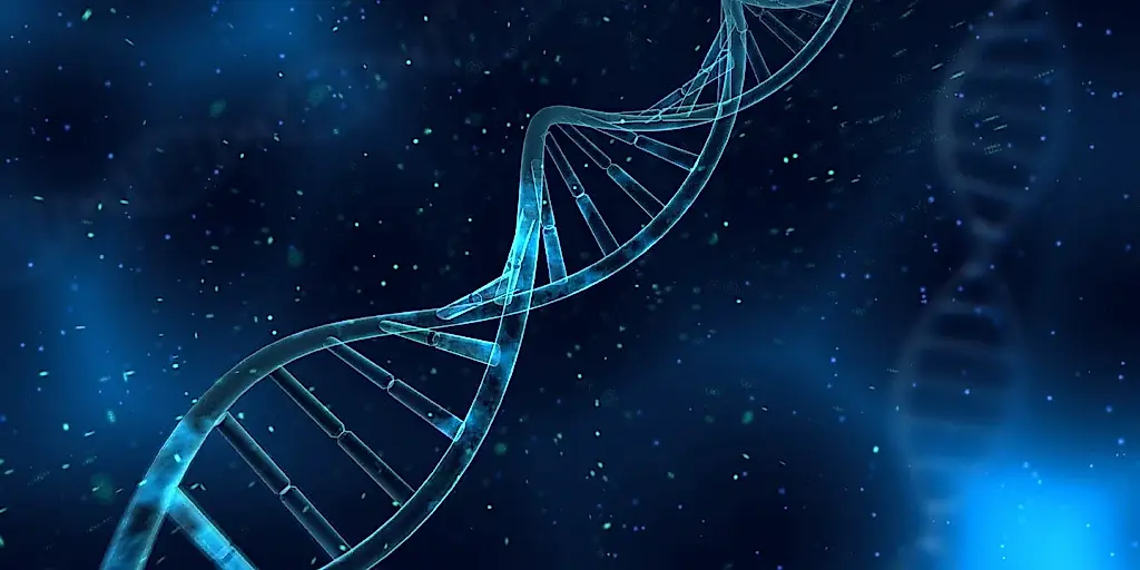 Células madre modificadas genéticamente: una nueva esperanza tras un ictus