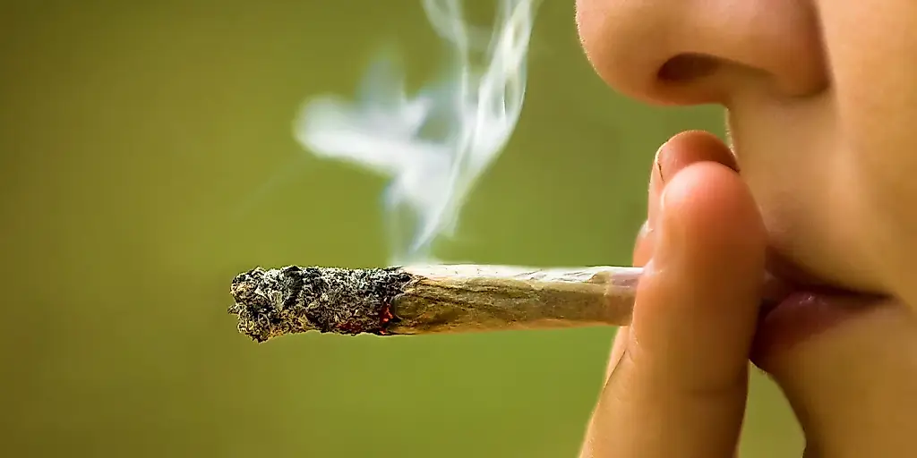 Cómo el cannabis frenó al alcohol