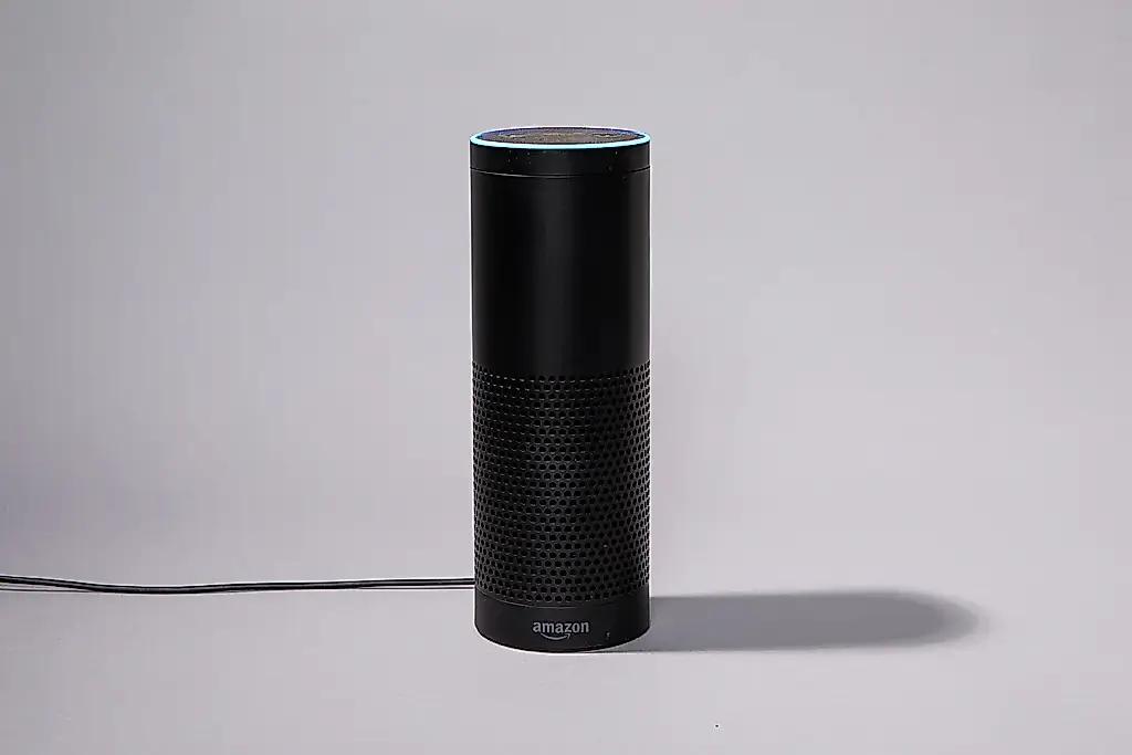 Cómo aprendió a hablar Echo