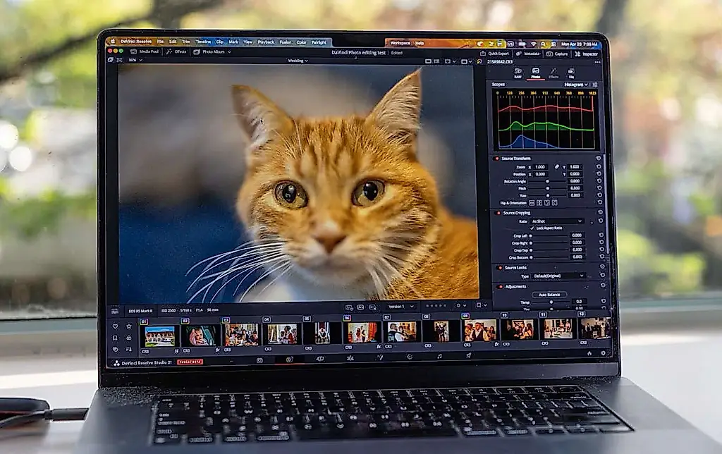 DaVinci Resolve 21 против Lightroom: битва за фото