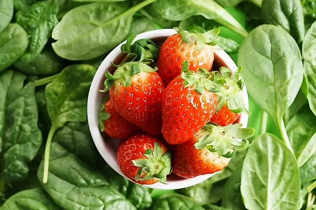 Odisea primaveral de las fresas