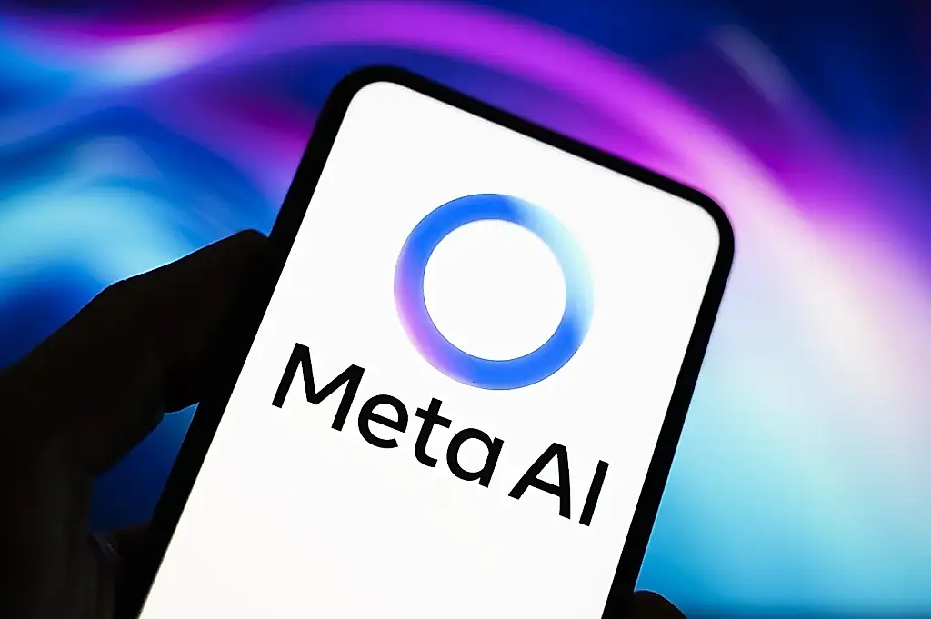 Meta, bajo supervisión