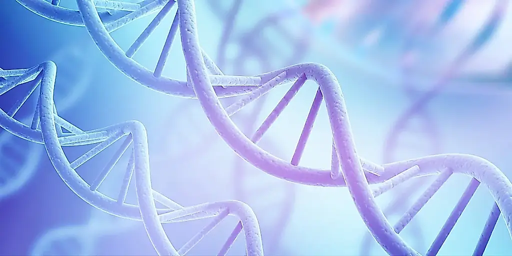 Encuentran genes del autismo en el cableado del cerebro