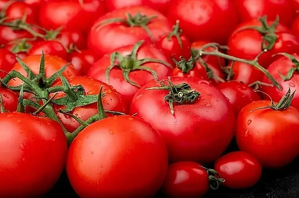 El bancal de máxima seguridad: cómo no cargarse los tomates