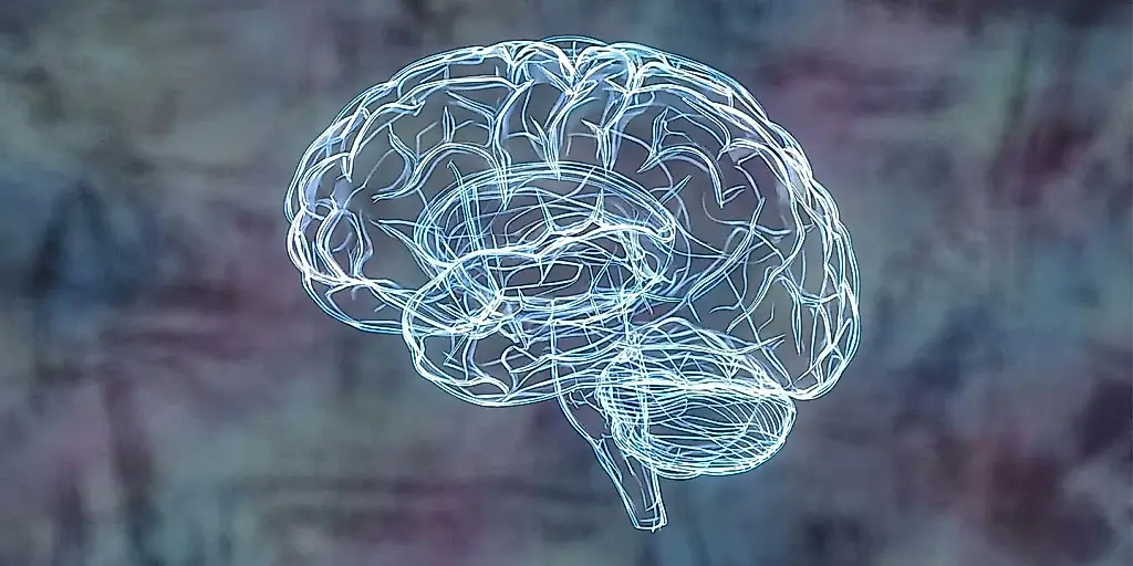 Infancia, cerebro y diagnósticos