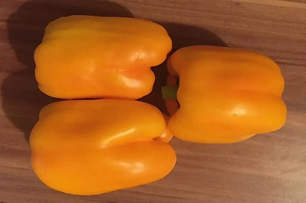 Los pimientos que no se rinden