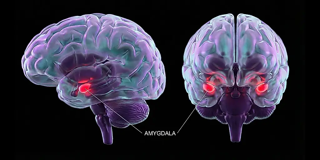 Cuando el cerebro se cansa del móvil