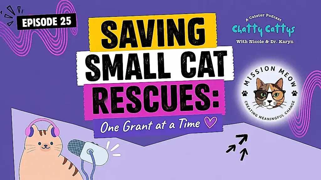 Misión para salvar gatos: cómo Mission Meow está cambiando las reglas del juego