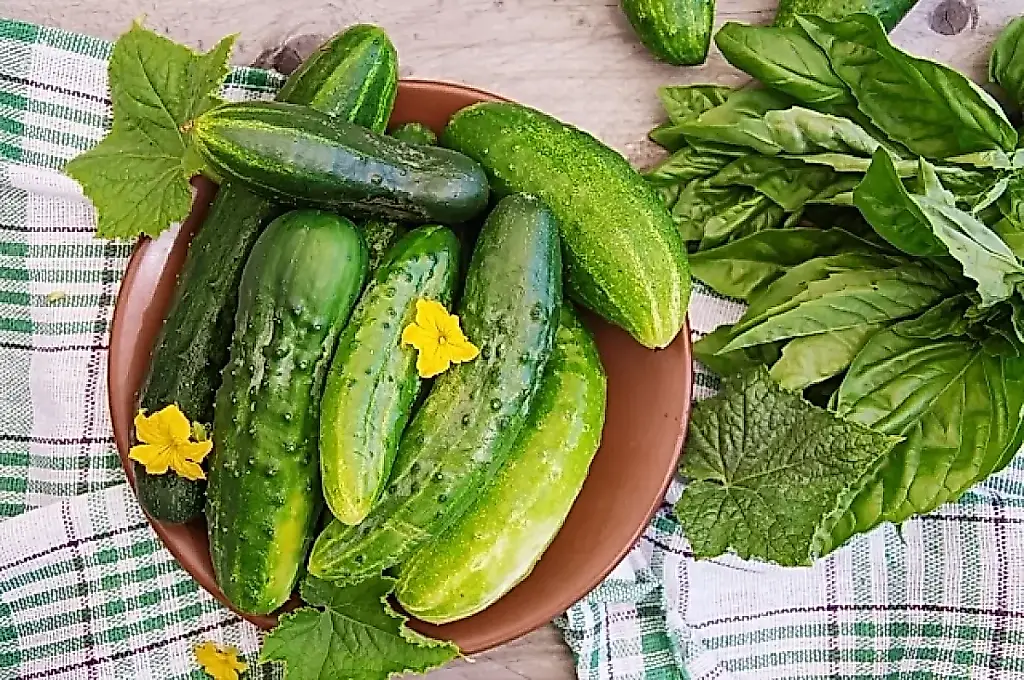 Qué hacer con los pepinos deformes y las flores masculinas: consejos de una agrónoma