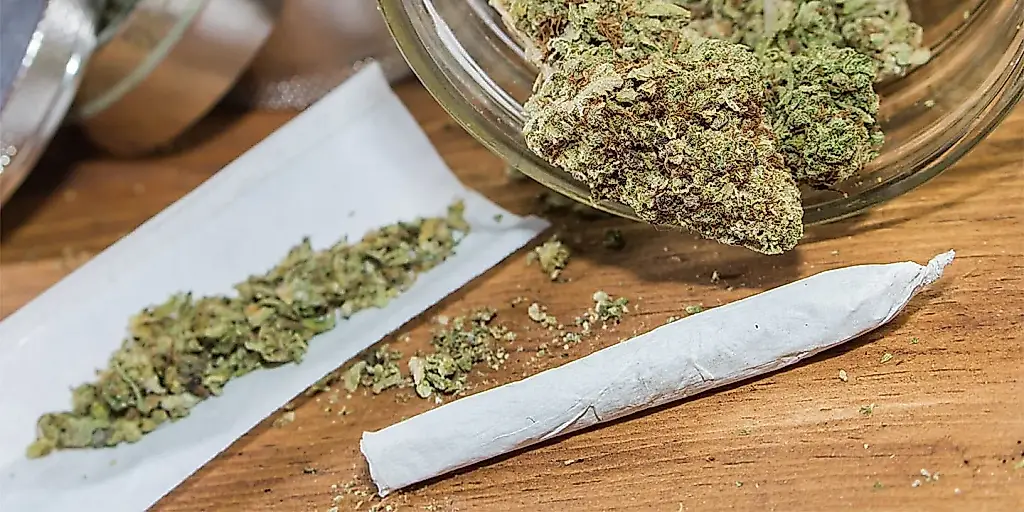 Estudio: el consumo de cannabis en personas mayores no se asocia con demencia ni pérdida de memoria