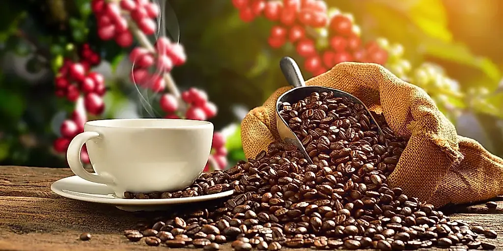 Los beneficios del café para personas con trastornos mentales: sus células rejuvenecen más rápido