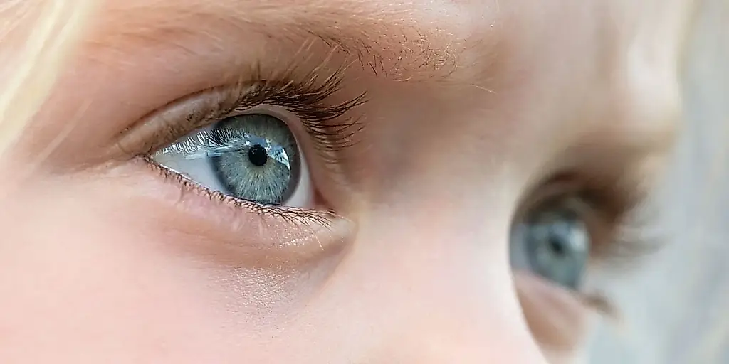 Estudio: cómo los juguetes dificultan que los niños con autismo miren a las personas